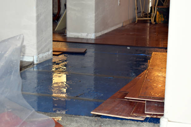 Professional Burst Pipe Cleanup technician working in Media, PA